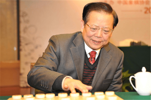 中国十大棋王（王天一上榜，他取得了十连冠）