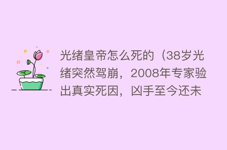 光绪皇帝怎么死的（38岁光绪突然驾崩，2008年专家验出真实死因，凶