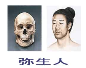 弥生人起源，弥生人和绳文人