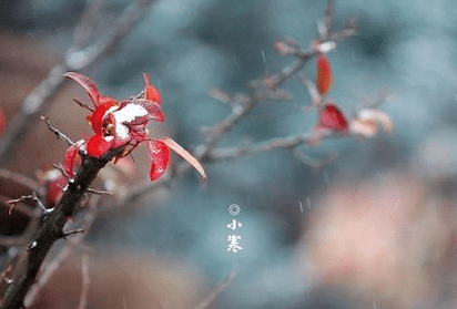 大寒和小寒哪个节气时更冷