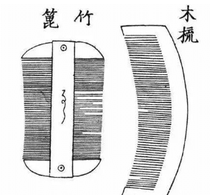 探索梳子的演变过程