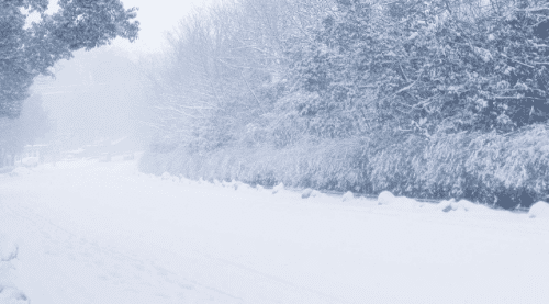 大雪节气你知道吗