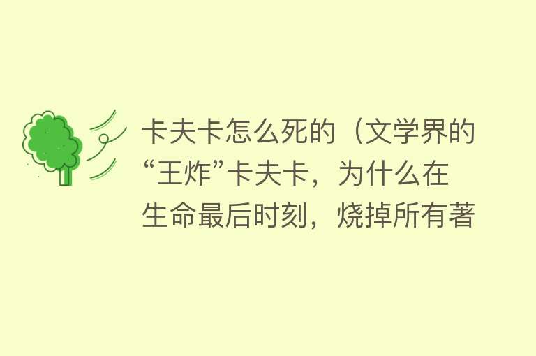 卡夫卡怎么死的（文学界的“王炸”卡夫卡，为什么在生命最后时刻