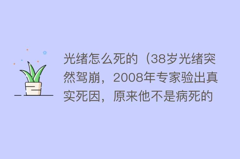 光绪怎么死的（38岁光绪突然驾崩，2008年专家验出真实死因，原来他