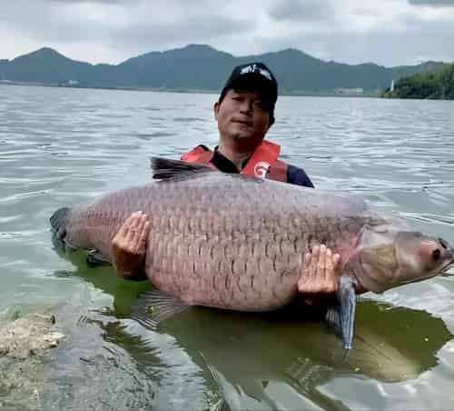 邓刚国家一级垂钓大师