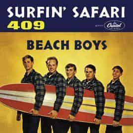 The Beach boys