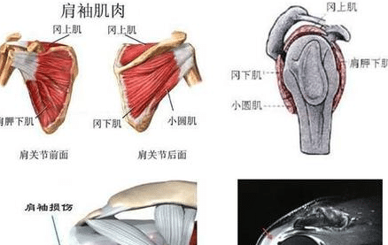 冻结肩的病因至今不明，一般认为与现代哪些疾病有关？